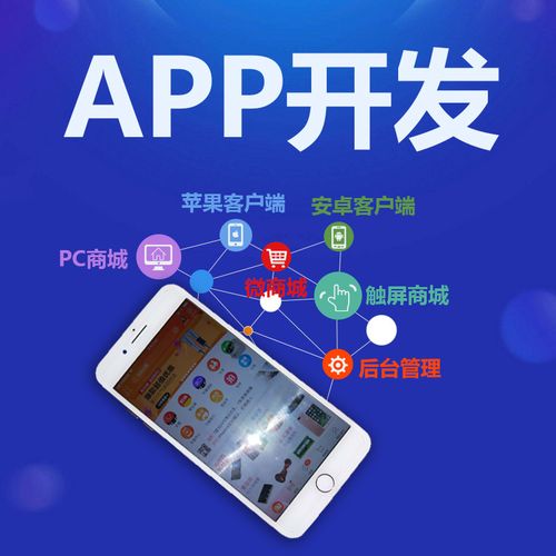 企业在选择商城app开发该如何选择开发方式呢？有什么不同？