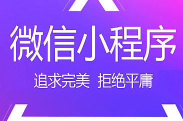 小程序制作公司浅析原生APP和小程序的差距在什么方面？