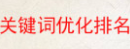 网站优化人员如何利用Alexa工具快速了解综合排名和流量状况