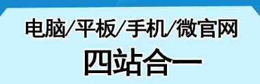 网站制作公司浅析如何明确预期受众