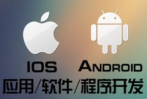 APP开发公司浅析有哪几种错误性数据