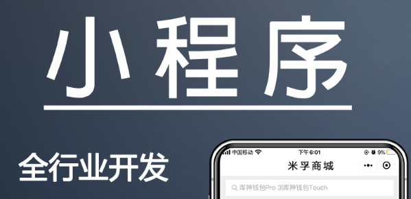 小程序制作公司浅析小程序替代APP哪些功能？